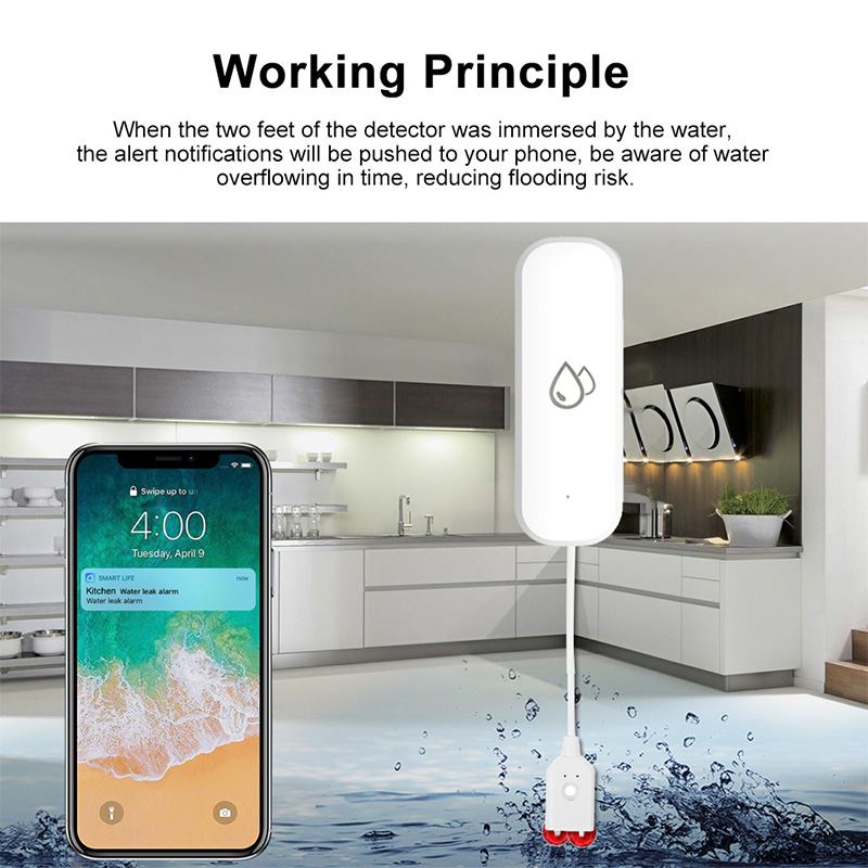 Tuya WiFi Water Leakage Alarm  - Smart Home Proxmox review and price